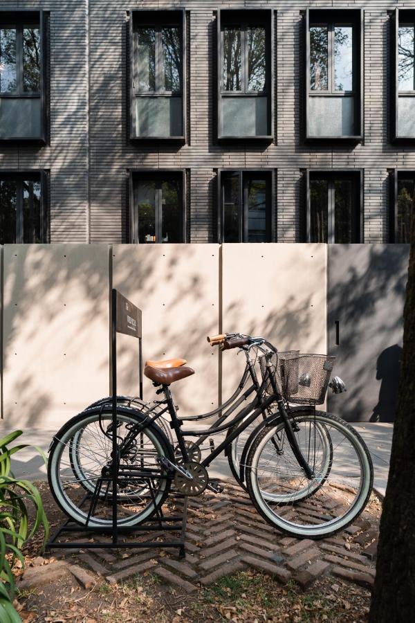 The Wild Oscar Hotel Mexico City